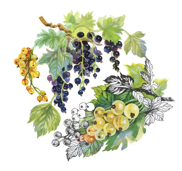 Безшовний акварельний візерунок з листям та ягодами — стоковий вектор