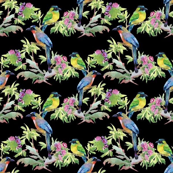 Dalları ile yaprakları ve renkli kuşlar — Stok fotoğraf