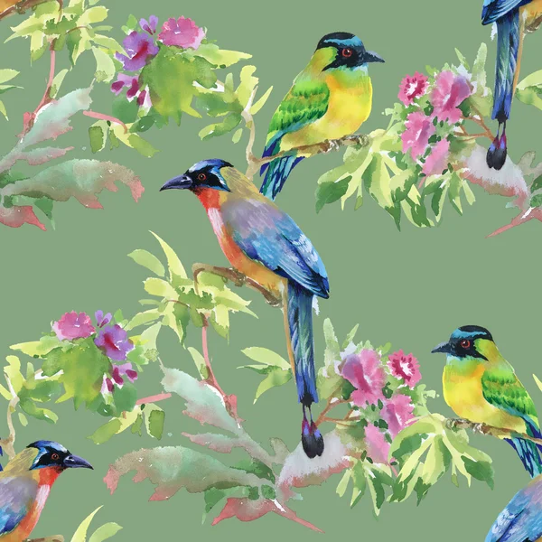 Dalları ile yaprakları ve renkli kuşlar — Stok fotoğraf
