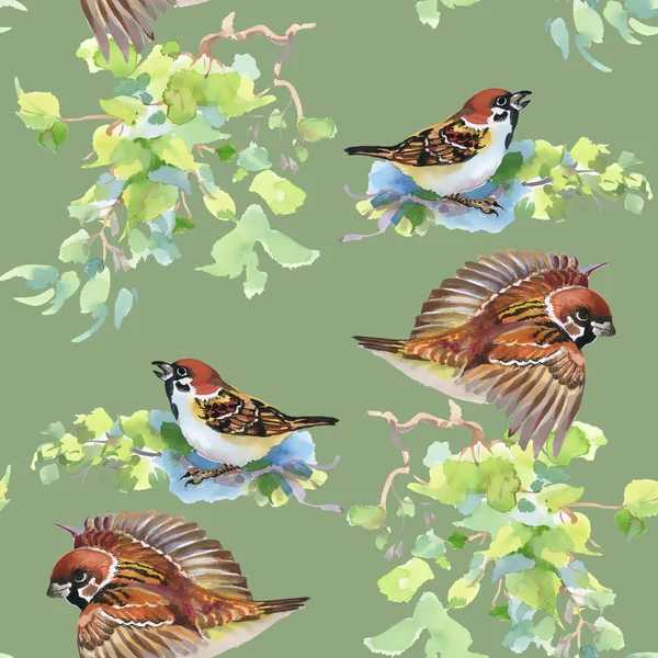 Uccelli selvatici e foglie verdi — Foto Stock
