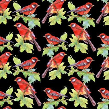 Suluboya kırmızı kuş