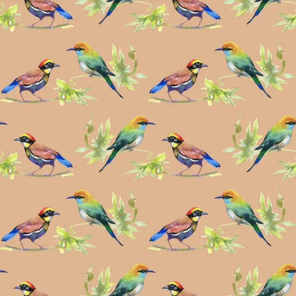 Akwarela kolorowych ptaków — Zdjęcie stockowe