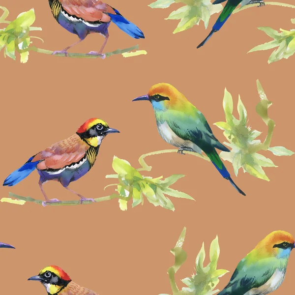 Watercolor colorful Birds — Stock Photo, Image