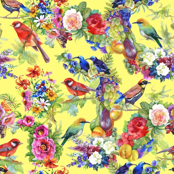 Pássaros coloridos com flores e frutas — Fotografia de Stock