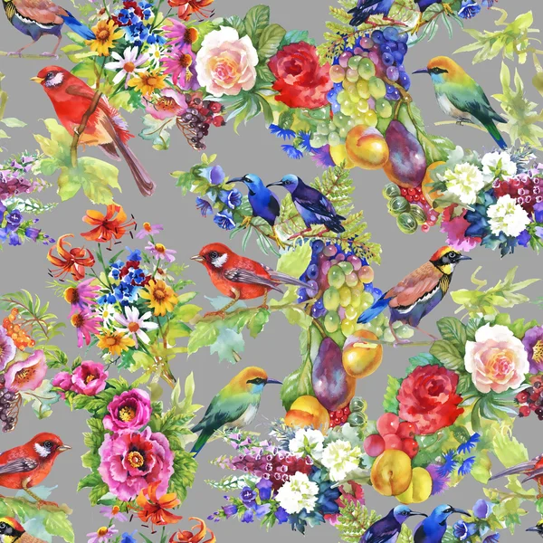 Uccelli colorati con fiori e frutti — Foto Stock