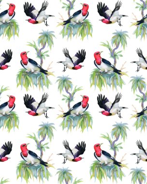 ağaç dalları üzerinde tropikal kuşlar