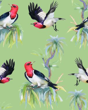 ağaç dalları üzerinde tropikal kuşlar