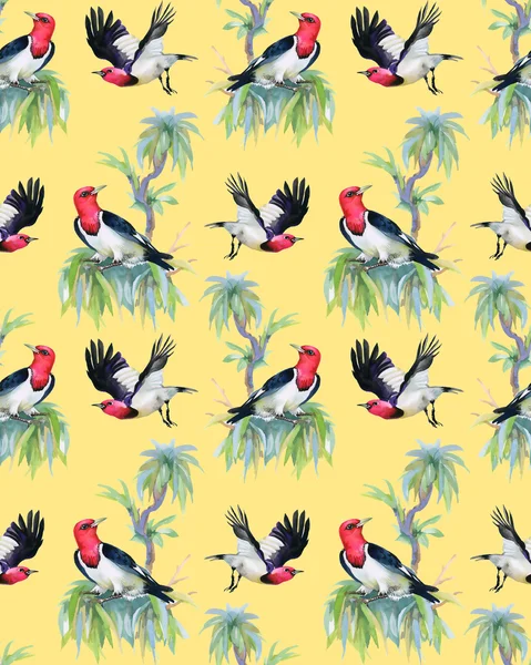 Tropische vogels op takken — Stockfoto