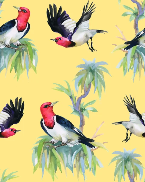 Uccelli tropicali sui rami degli alberi — Foto Stock