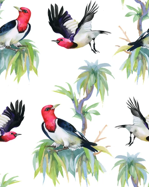 Aves tropicais em galhos de árvores — Fotografia de Stock