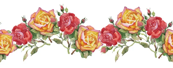 Trädgård rosor mönster — Stockfoto