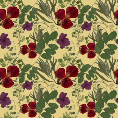 Sulak bitkiler arka plan