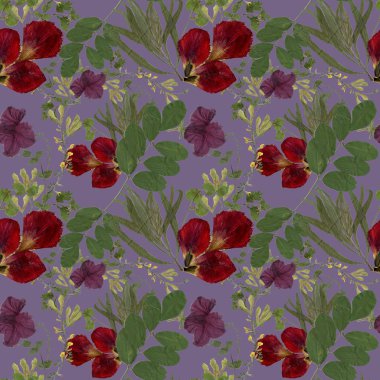 Sulak bitkiler arka plan