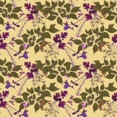 Sulak bitkiler arka plan