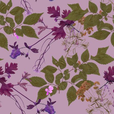 Sulak bitkiler arka plan