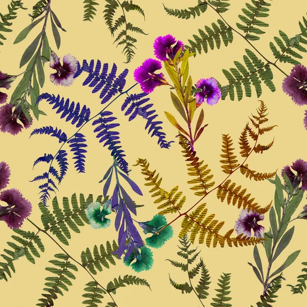 Herbarium växter bakgrund — Stockfoto