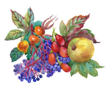 Sonbahar suluboya arka plan