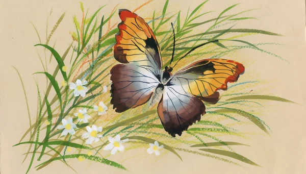 Mariposa y flores de verano — Foto de Stock