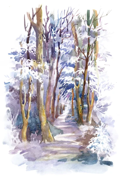 Aquarell Winterwald — Stockfoto