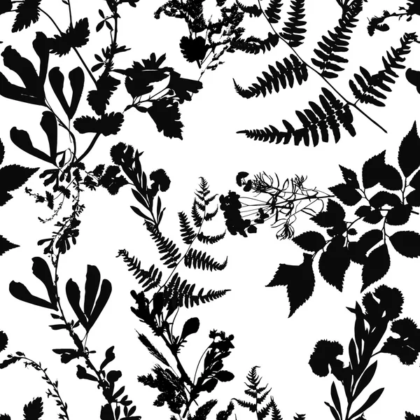 Herbarium plants background — Stock Photo, Image