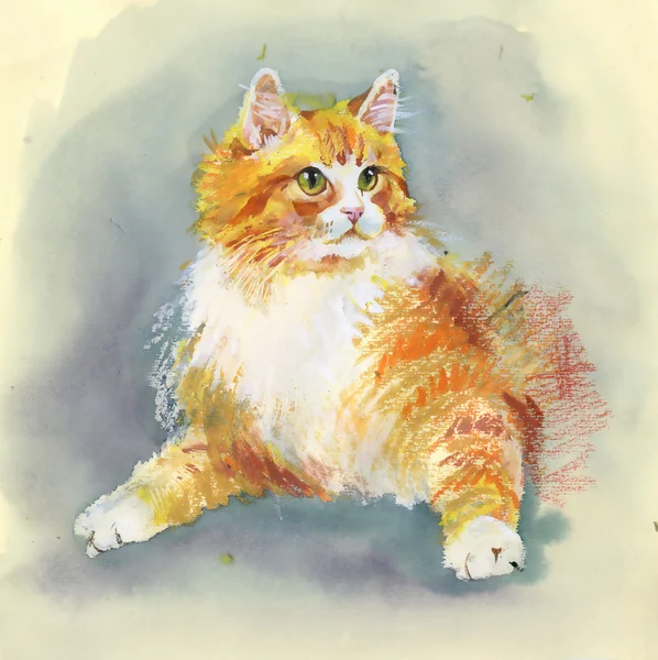 Suluboya el çizilmiş kedi