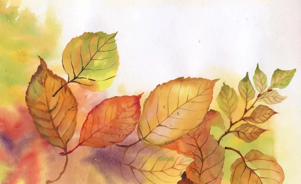 Фон с осенними листьями — стоковое фото