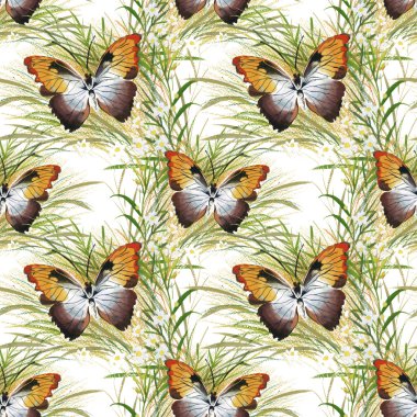 butterfies ve yaz çiçek