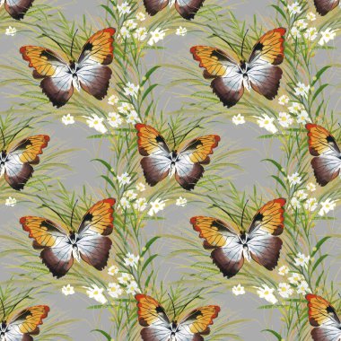 butterfies ve yaz çiçek