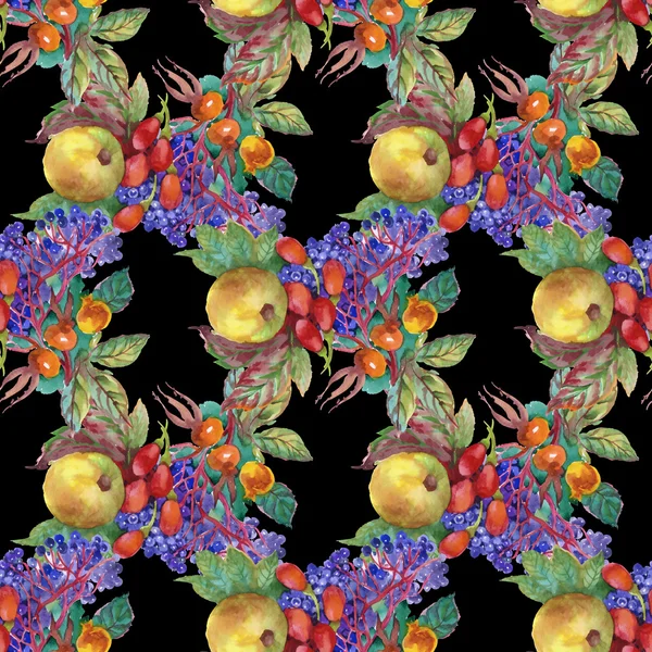 Autumn  berries pattern — Stock Photo, Image