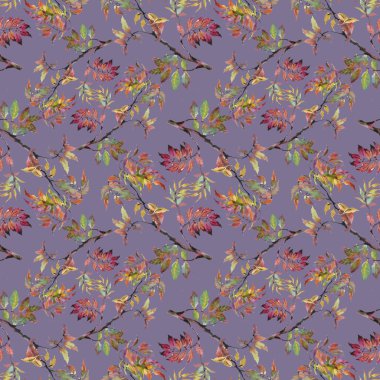 Sonbahar yapraklı arkaplan