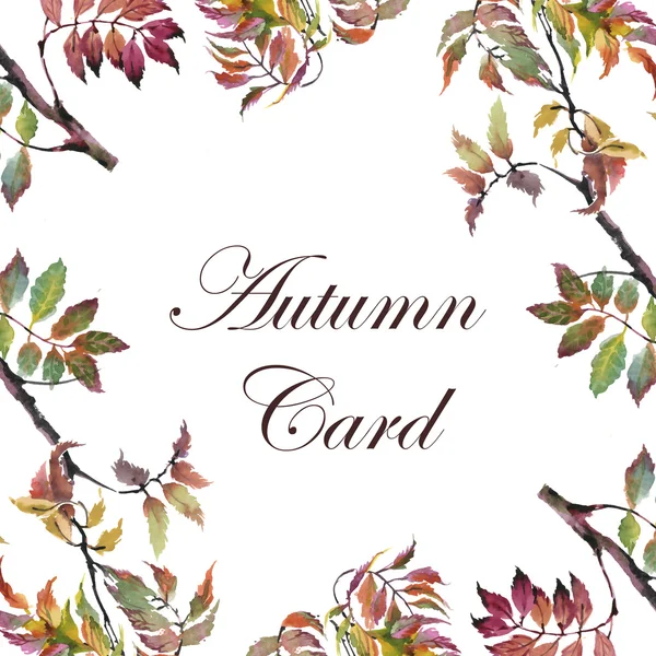 秋のカード フレームの背景 — ストック写真