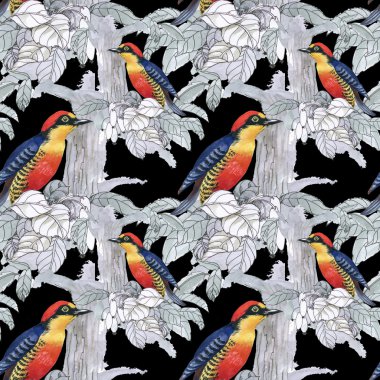 Egzotik kuşlar arka plan