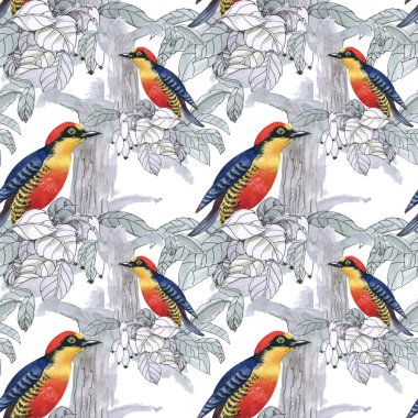 Egzotik kuşlar arka plan