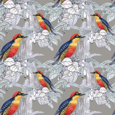 Egzotik kuşlar arka plan