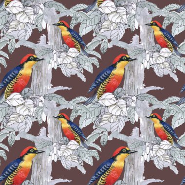 Egzotik kuşlar arka plan