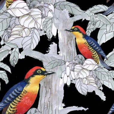 Egzotik kuşlar arka plan