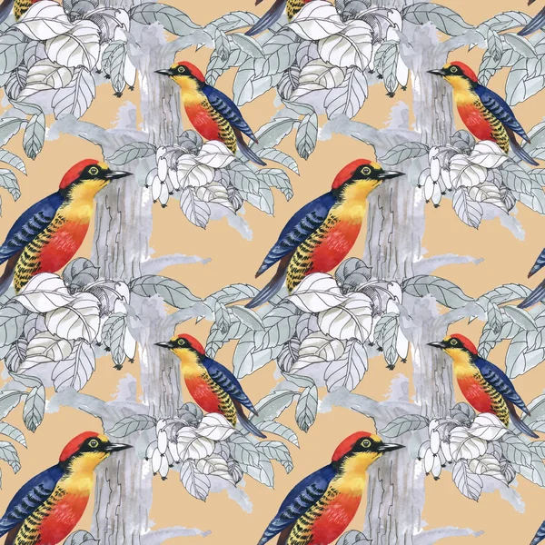 Exotic birds background — Stock Photo, Image
