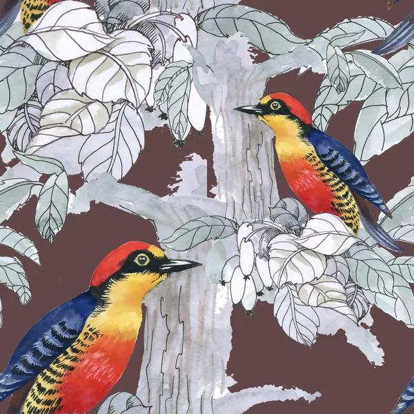 Exotic birds background — Stock Photo, Image