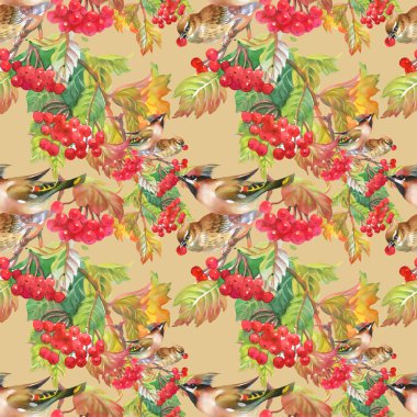 Üvez meyveleri ibibik kuşlar ile