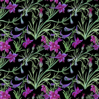 Bahçe çiçek açan çiçekler