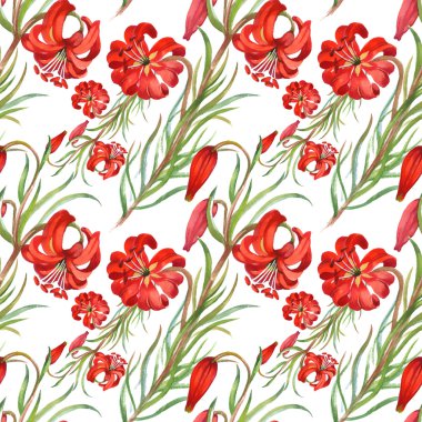 Bahçe çiçek açan çiçekler