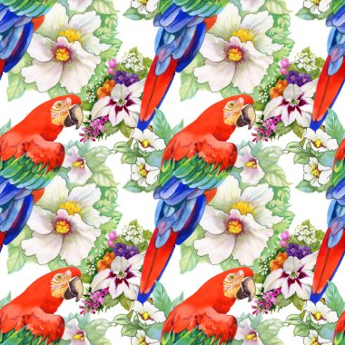 egzotik papağan kuş arka plan