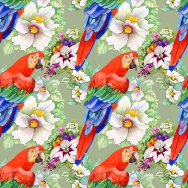 egzotik papağan kuş arka plan