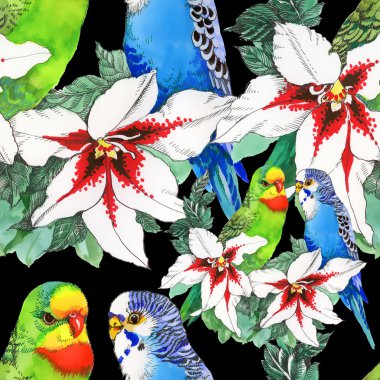 egzotik papağan kuş arka plan