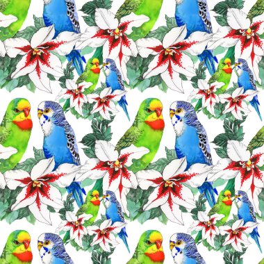 egzotik papağan kuş arka plan