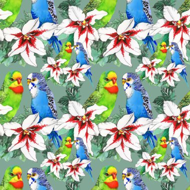 egzotik papağan kuş arka plan