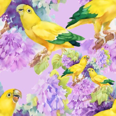 egzotik papağan kuş arka plan