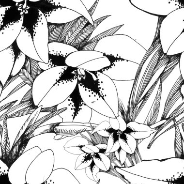 Yaz Bahçe çiçek açan çiçekler