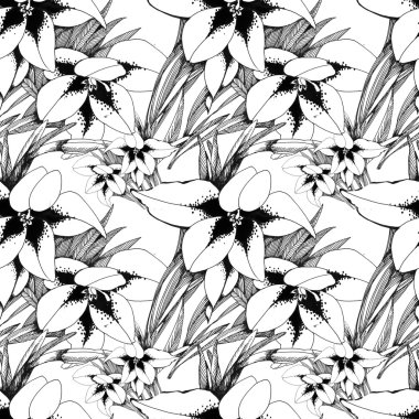 Yaz Bahçe çiçek açan çiçekler