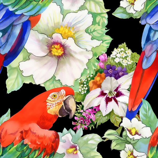 Egzotyczne papugi ptaki tło — Zdjęcie stockowe